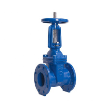 BS5163/ EN 1171 PN25 Rising Stem Sluice Valve Resilient Seated Ductile Iron Gate Valve